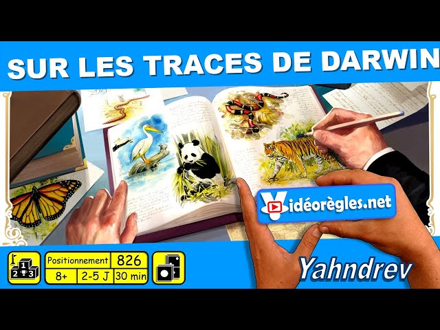 Videoregles. Net
